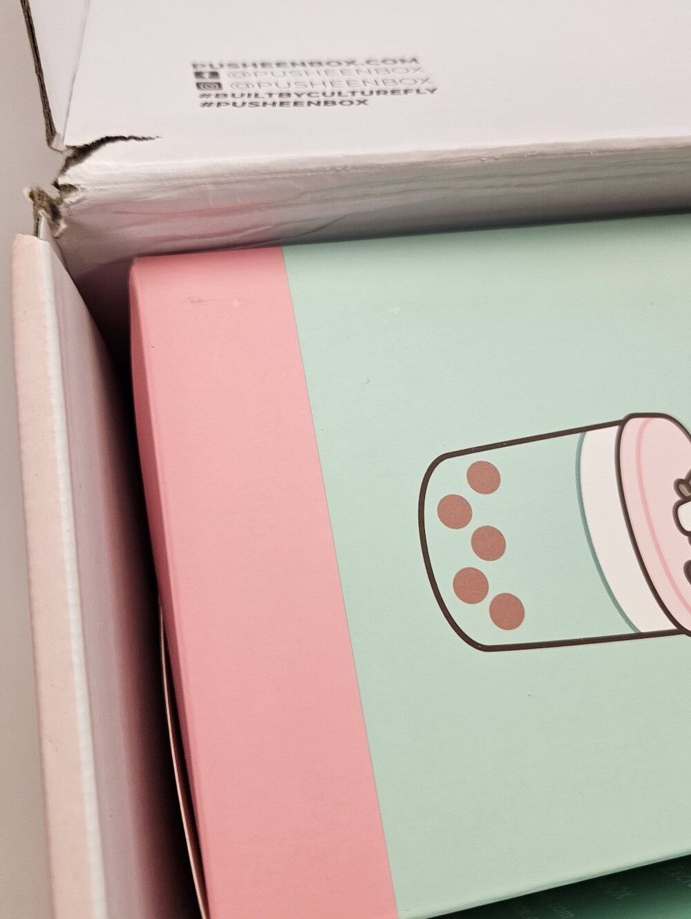 Spring 2023 Pusheen Spring "Sips" Box - Picture 11 of 11